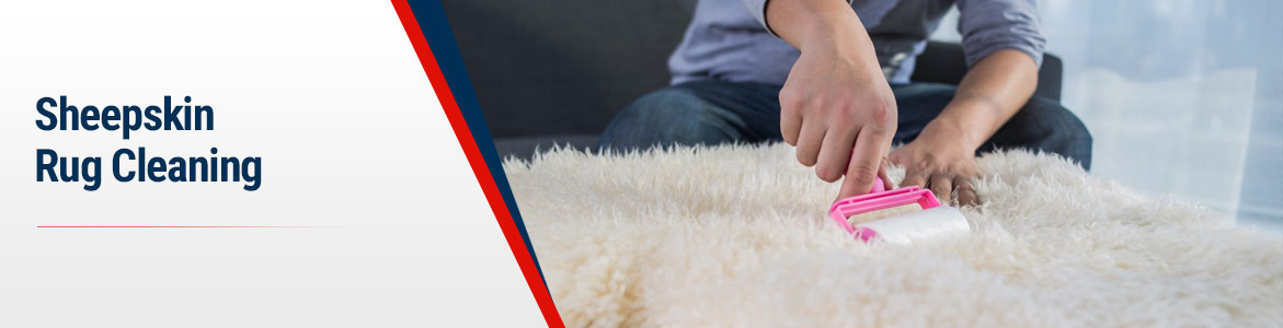 Sheepskin Rug Cleaning in your Local Area