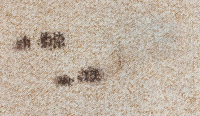 dirty stain on carpet