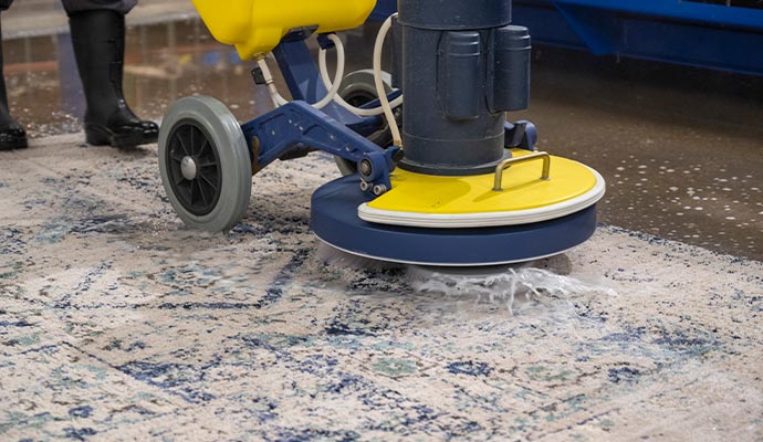 Professional worker cleaning rug with professional equipment