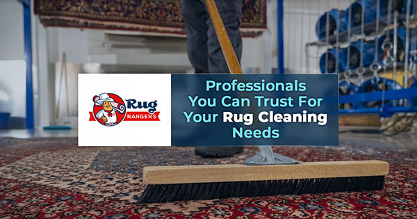 Professional Area Rug Cleaning Companies in Your Area