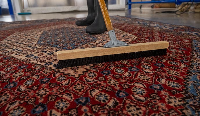 Professional worker cleaning rug