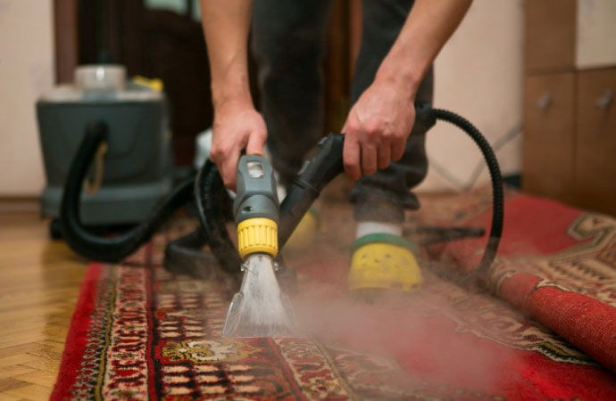 Professional worker removing allergens from rug
